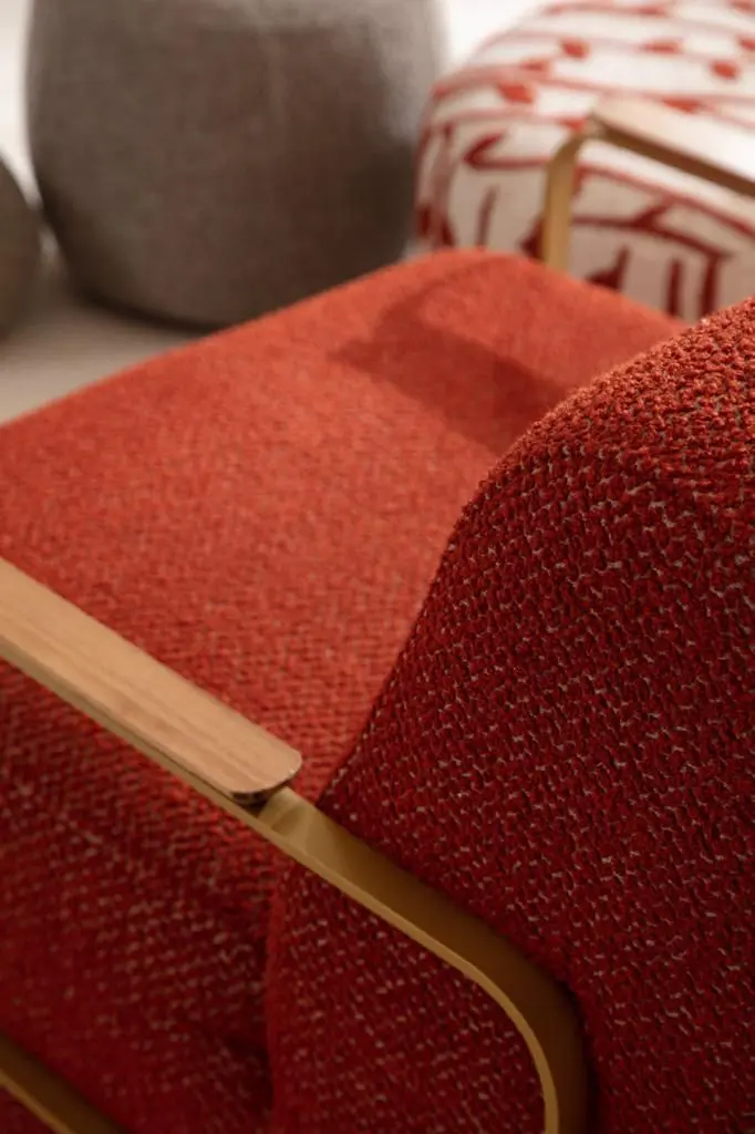 Carnia Yaşam Odası (7)